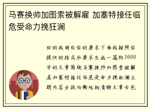 马赛换帅加图索被解雇 加塞特接任临危受命力挽狂澜